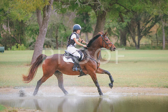 RWP_4210