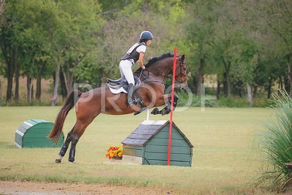 RWP_4215