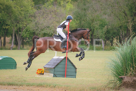 RWP_4217