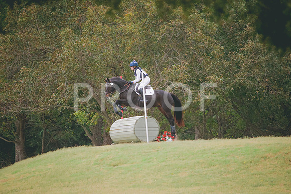 RWP_4231