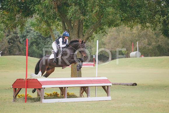 RWP_4237
