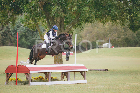 RWP_4238