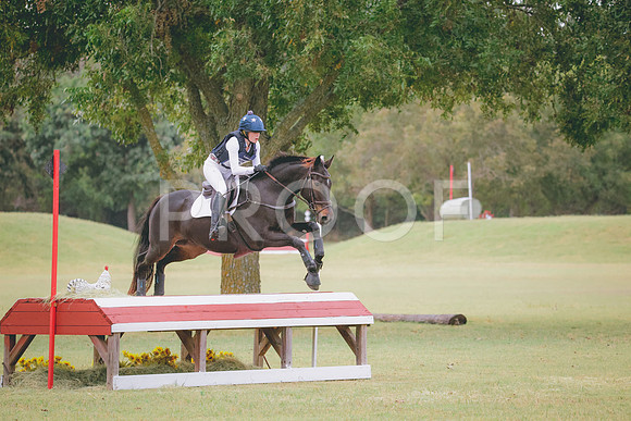 RWP_4239