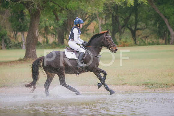 RWP_4252