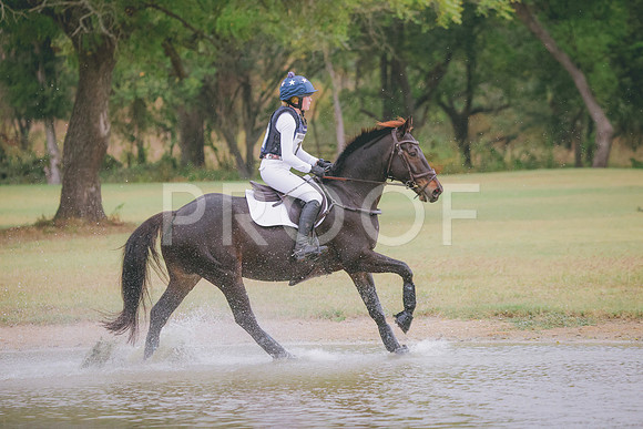 RWP_4253