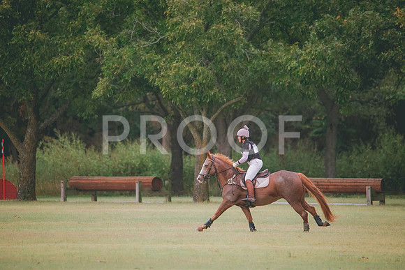 RWP_4266