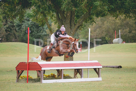 RWP_4273
