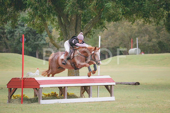 RWP_4275