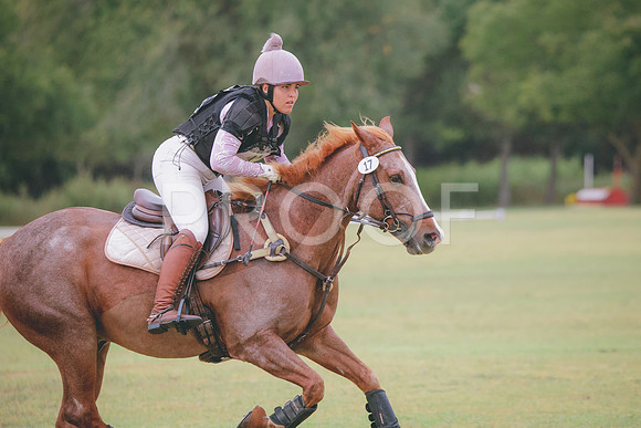 RWP_4284