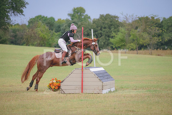 RWP_4287