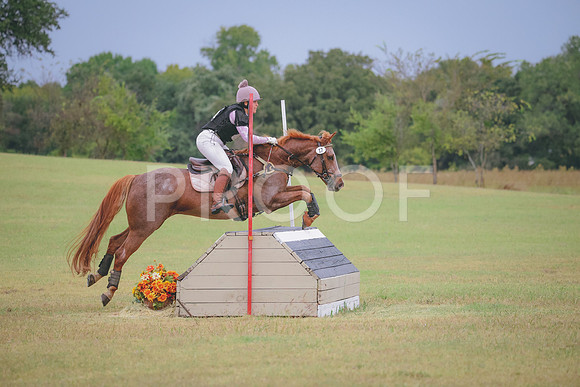 RWP_4288