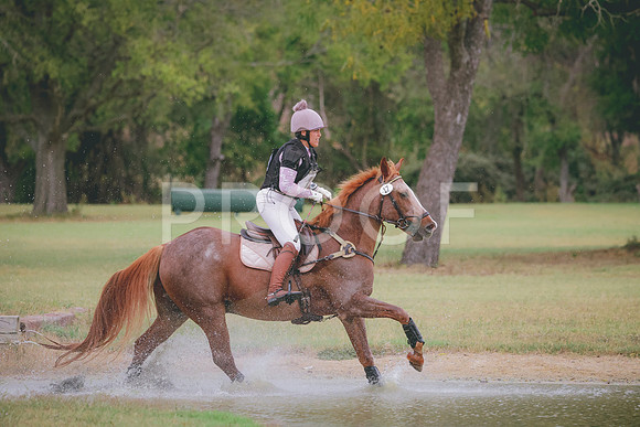 RWP_4292