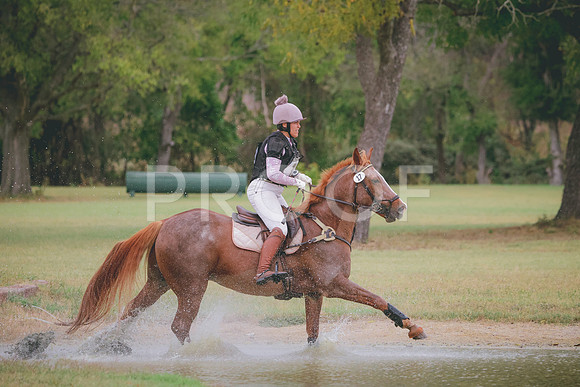 RWP_4293