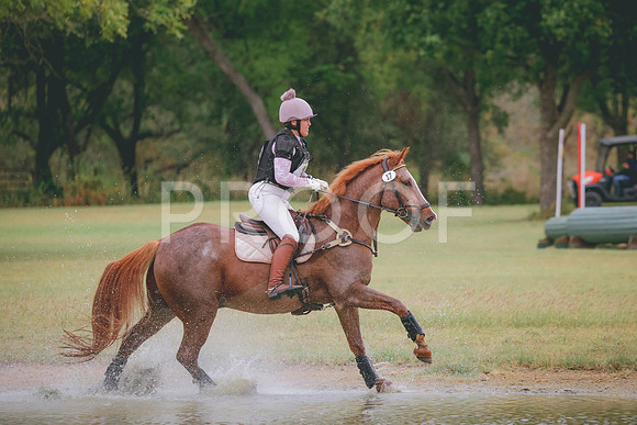 RWP_4297