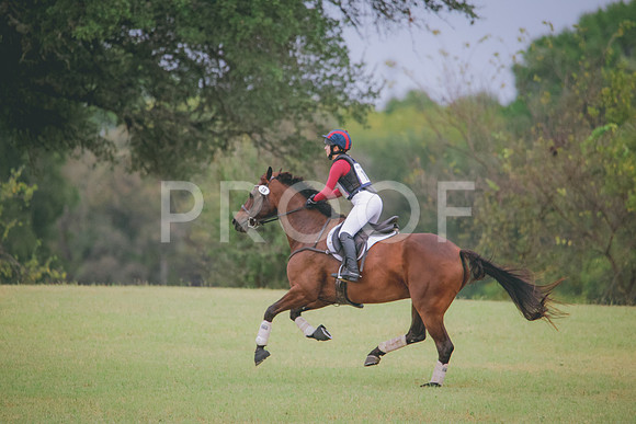 RWP_4315