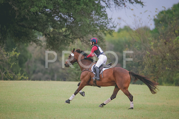 RWP_4316