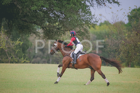 RWP_4317