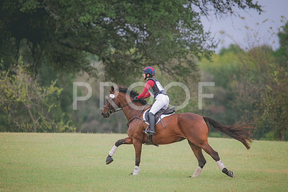 RWP_4318