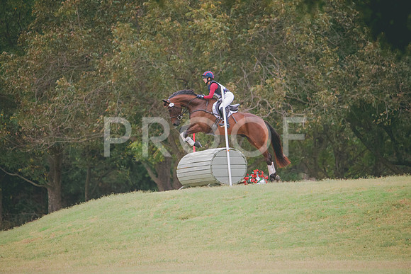 RWP_4331