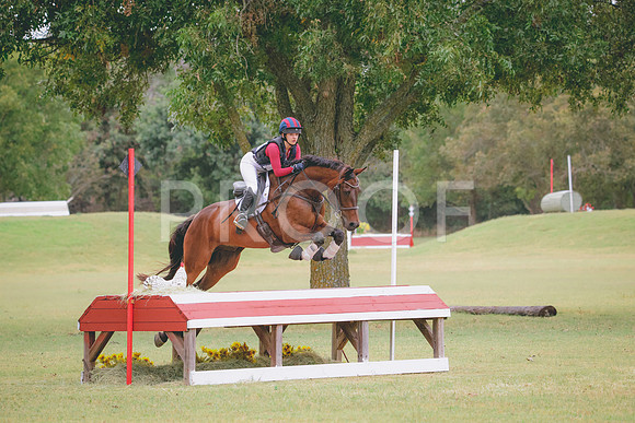 RWP_4334