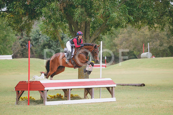 RWP_4335