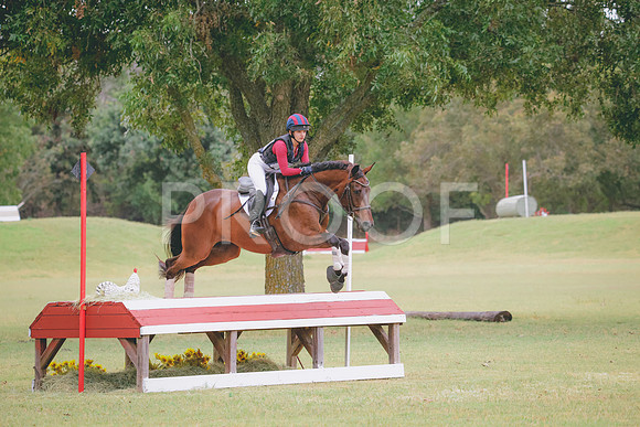 RWP_4336