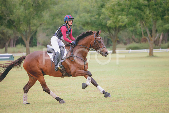 RWP_4341