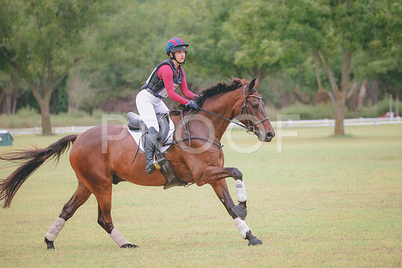 RWP_4342