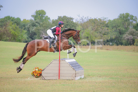 RWP_4346