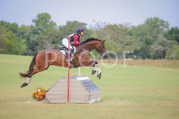 RWP_4347