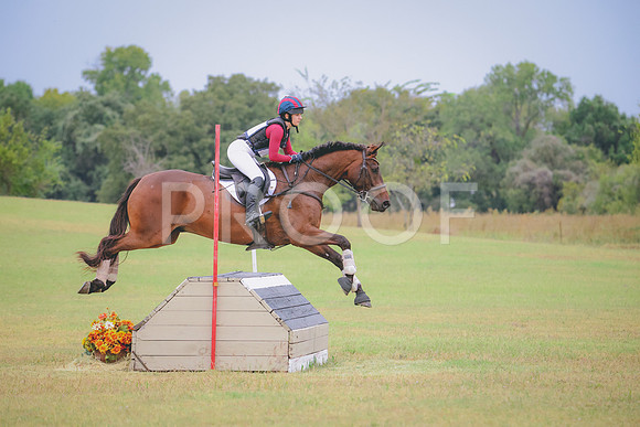 RWP_4348