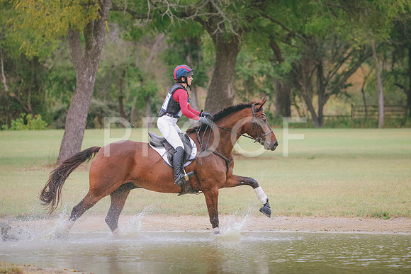 RWP_4351