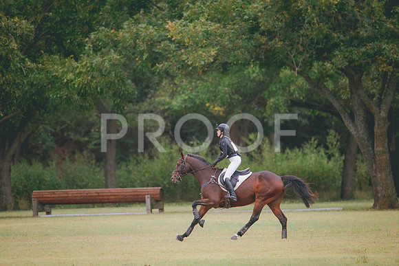 RWP_4371