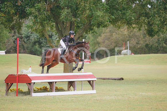 RWP_4383