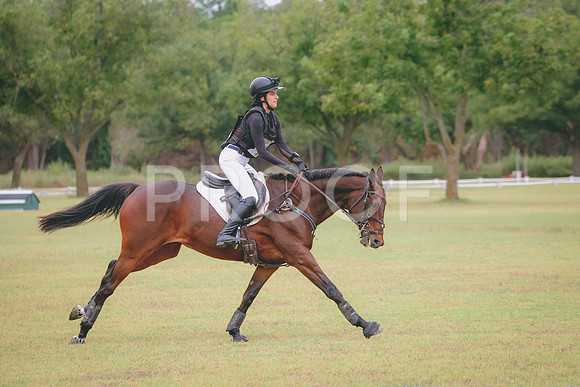 RWP_4386