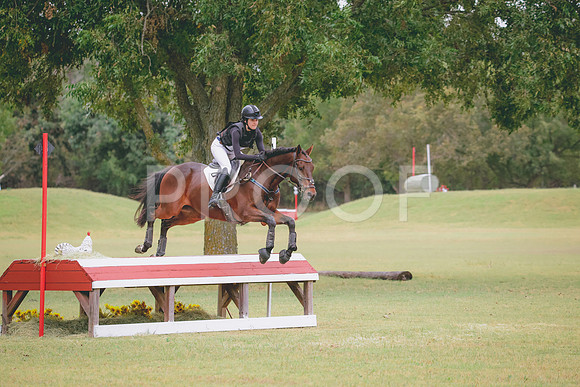RWP_4384