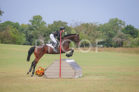 RWP_4390