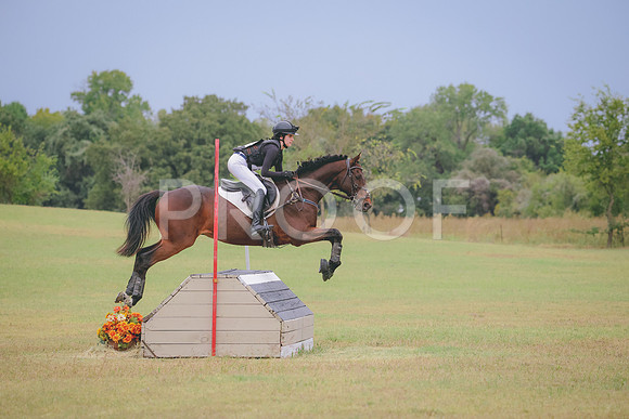 RWP_4392