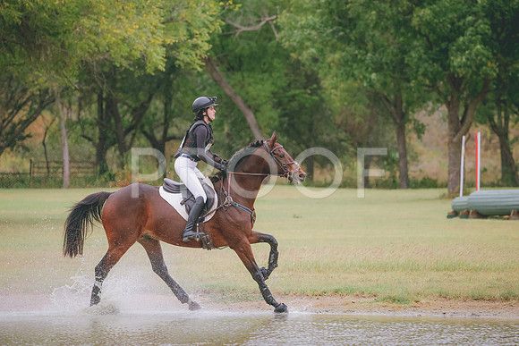 RWP_4395