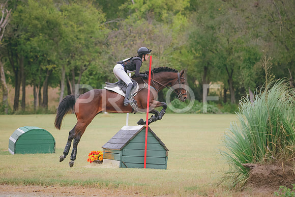 RWP_4399