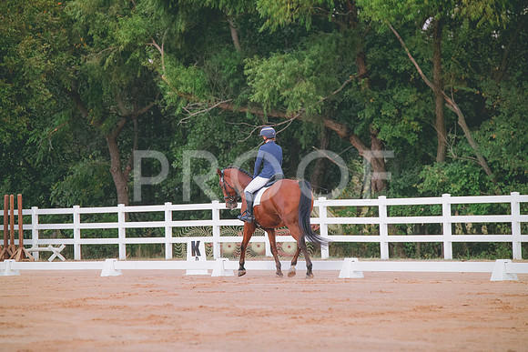 RWP_1734