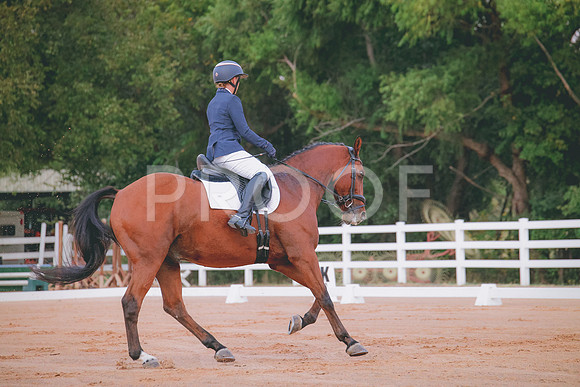 RWP_1736