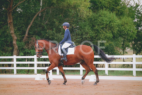 RWP_1741