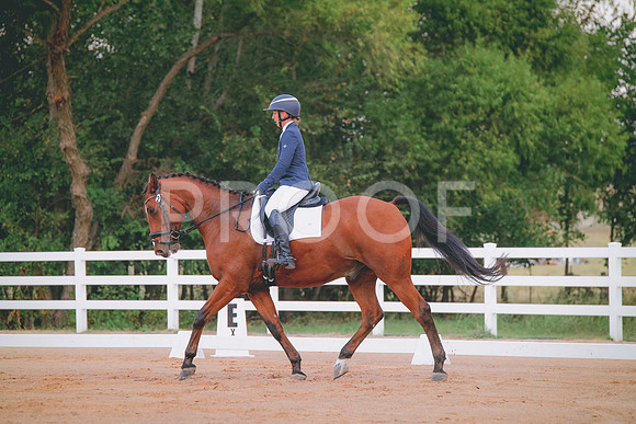 RWP_1742