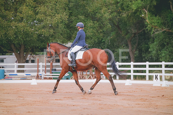 RWP_1746