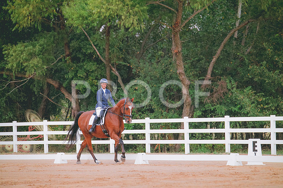 RWP_1762