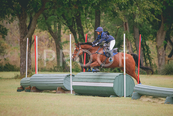 RWP_3654
