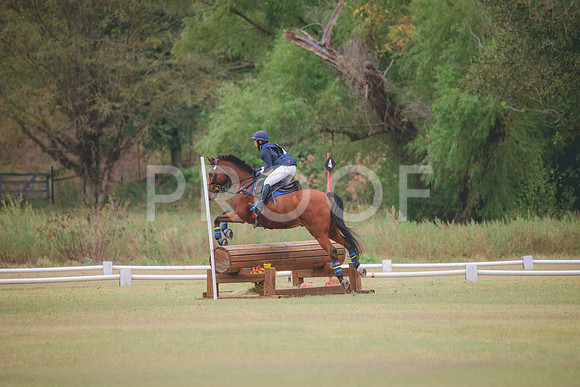 RWP_3669