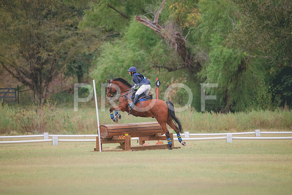 RWP_3668