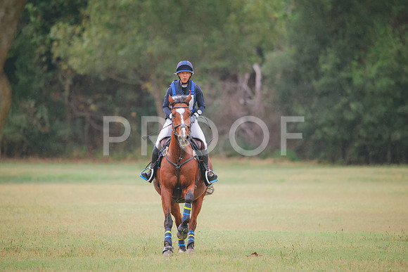 RWP_3678